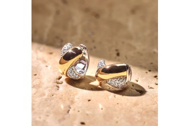 Ti Sento - earrings