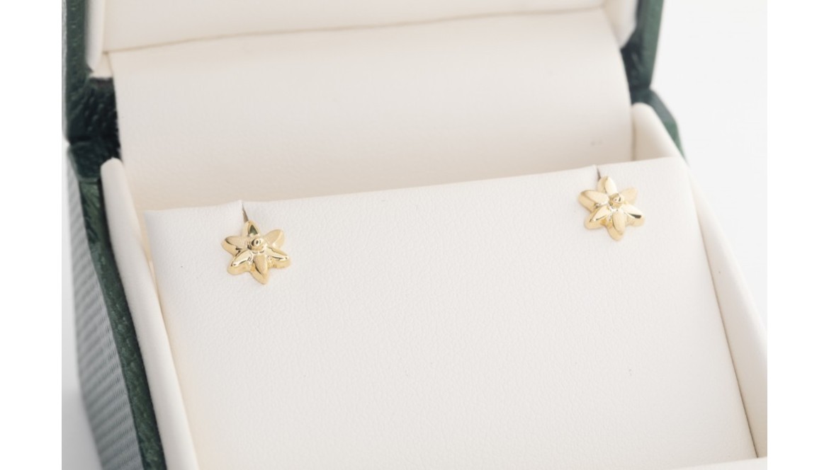 ¿Cuáles son las características de los aretes de bebe?