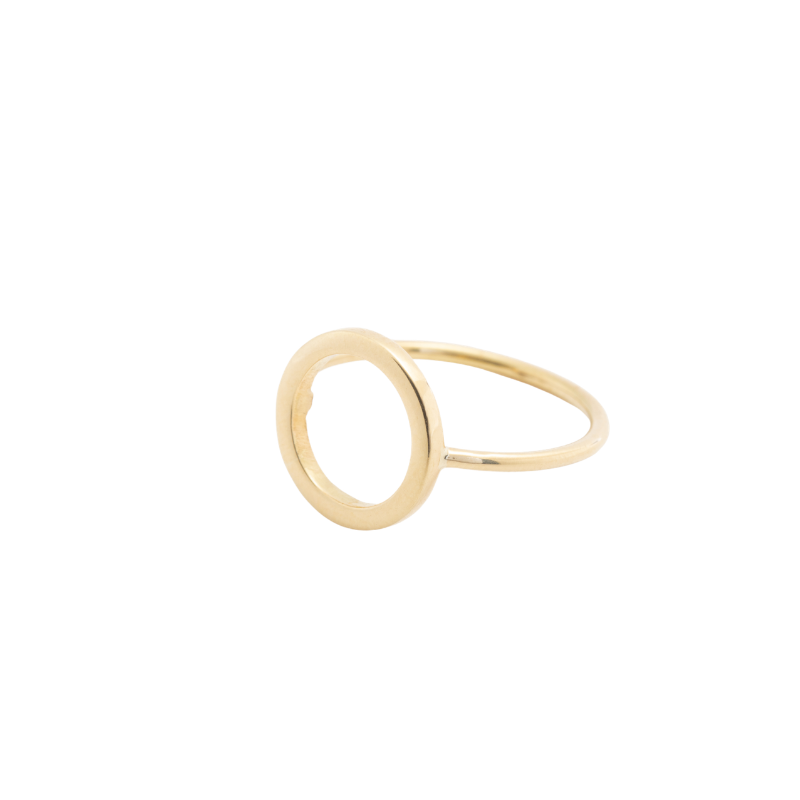 Anillo circulo de la vida